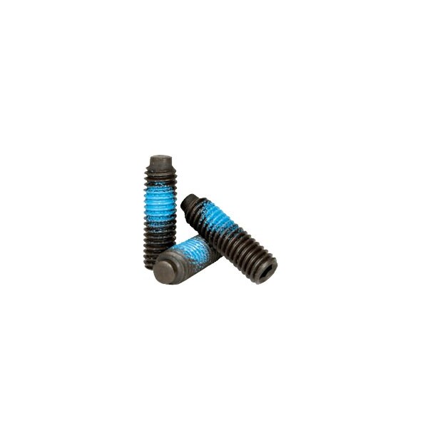 Newport Fasteners Nylon Patch Socket Set Screw Half-Dog Point, 10-32 x 1/4", Alloy Steel, Black Oxide, 100PK 341175-100 - main